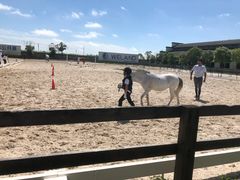 -松声马术俱乐部