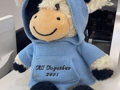 -泰康拜博口腔(凯迪大厦店)