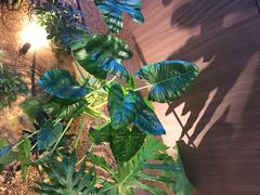 -大头椰·椰子鸡火锅(南宁万象城店)