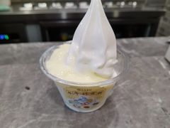 双皮奶水牛奶雪糕（甜品站）-民信老铺(双皮奶博物馆店)