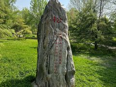 -毛遂公园