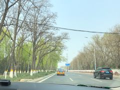 -大自然农场蔬菜草莓采摘园