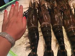 -Ministry of Crab(科伦坡店)