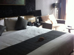 iphone_upload_pic-常州环球恐龙城维景国际大酒店