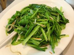 -新峰肉骨茶