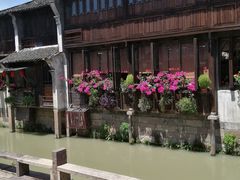 -乌镇东栅景区