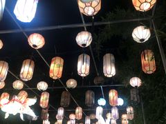 -洋湖国家湿地公园