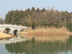 -虎丘湿地公园