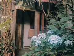 -斯多格书乡(北京大学畅春园店)
