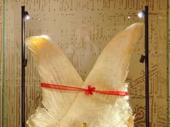 -北京饭店谭家菜