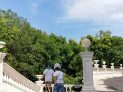 -朝阳公园真人CS
