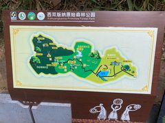 -西双版纳原始森林公园
