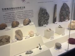 -重庆自然博物馆(新馆)