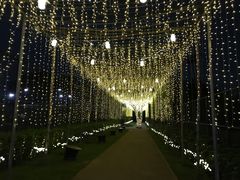 -澳洲牛奶公司(佐敦店)