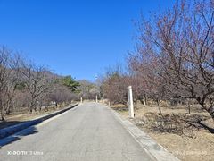 -北京鹫峰国家森林公园
