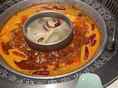 -晓宇重庆火锅(赛格国际购物中心店)