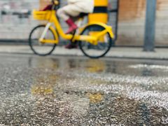 -循礼门鲜花花市(武汉循礼门店)