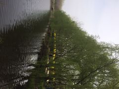 iphone_upload_pic-溱湖国家湿地公园