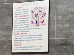 -美联众合宠物医院·爱萌分院·内外科·猫科中心