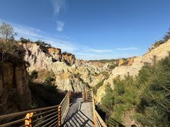 -彩色沙林风景区