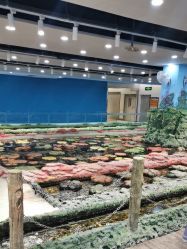 -钓虾工场·钓虾·赶海(回龙观店)