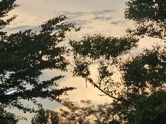 -火炉山森林公园