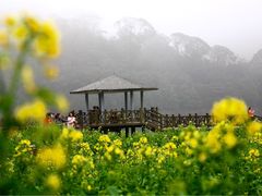 -广州市石门国家森林公园