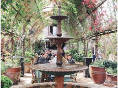 -The Grounds of Alexandria