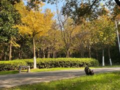-太子山公园(园东路)