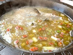 -鲜椒鱼·雅安地标性美食