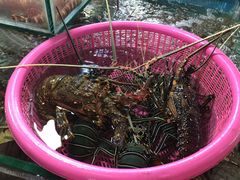 -班赞海鲜市场