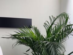 -猫公子纸上烤鱼烧烤•Bistro小酒馆(钱江世纪城店)