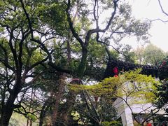 -杭州黄龙洞
