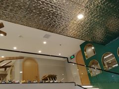 -飞行喵MR PILOT|猫舍·猫咖(静安大融城店)
