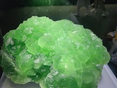 -湖南省地质博物馆