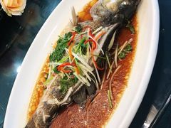 清蒸鲈鱼-静之湖湖畔餐厅