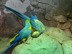 -福州罗源湾海洋世界旅游区