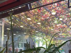 -伊隆斋(什刹海店)