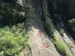 -望天鹅景区