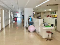 -厦门市妇幼保健院(总院区)