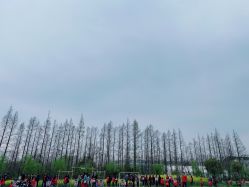 -前小桔亲子创意农场·草莓采摘·露营烧烤