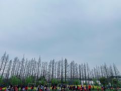 -前小桔亲子创意农场·草莓采摘·露营烧烤