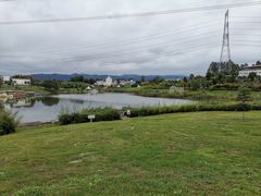-紫颐香薰山谷景区