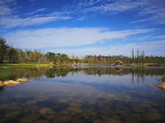 -白鹭湾湿地公园
