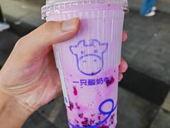 -一只酸奶牛(洪崖洞11楼店)