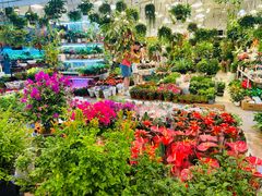 -双季花艺园艺市场(浦东店)