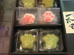 -猫咪博物馆(顶澳仔猫街店)