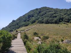 -白草畔自然风景区