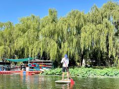 -WhaleSports户外水上运动俱乐部(朝阳公园店)