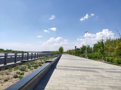 -伊犁河风景区